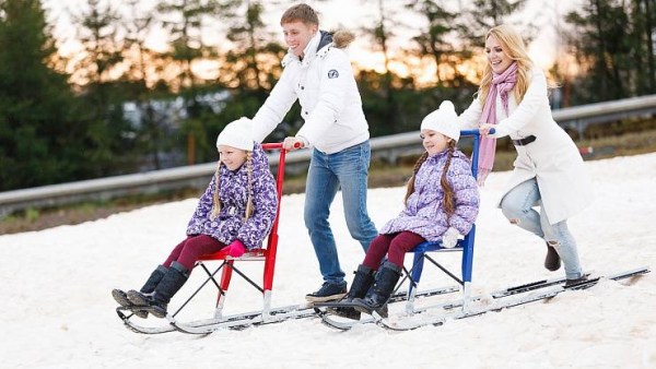 прокат финских саней