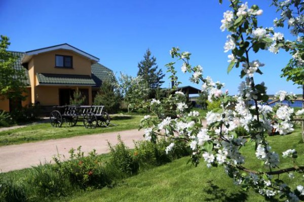 территория