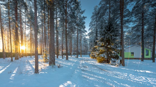 Территория