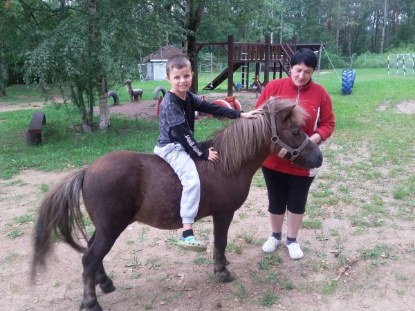 катание на лошадях и пони