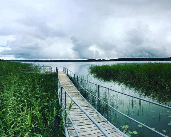 территория