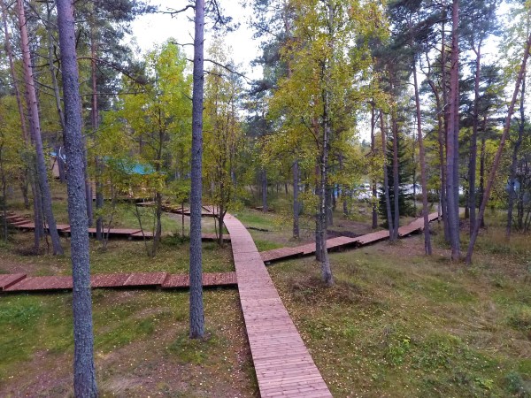 территория