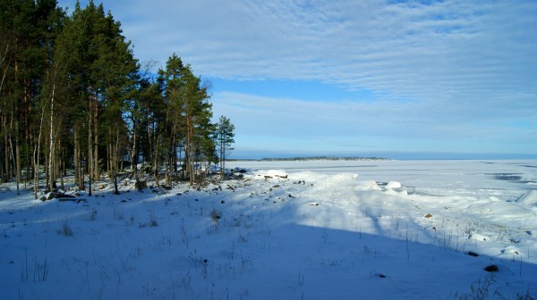 территория