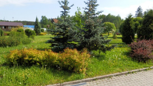 территория