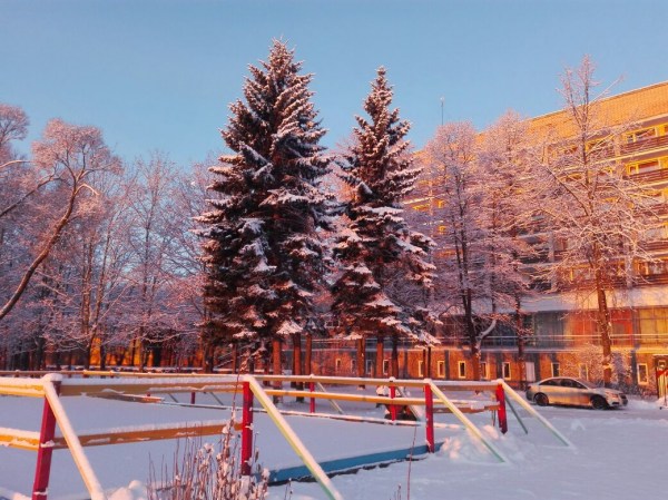 территория