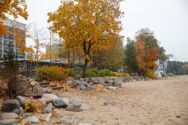 территория