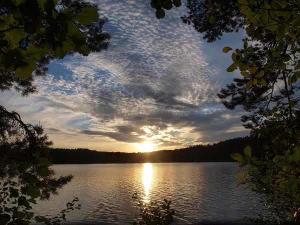 Коттедж (дом) в Орехово