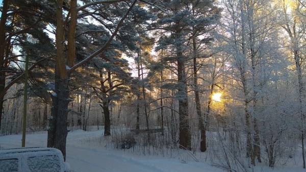 Коттеджи в Ларионово