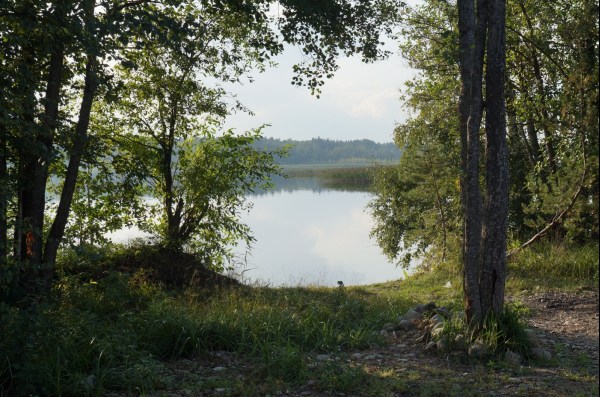 Коттеджи в Ларионово