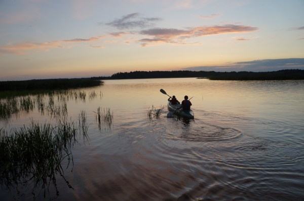 Коттеджи в Ларионово