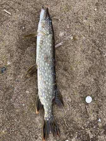 База отдыха Рыбная слобода