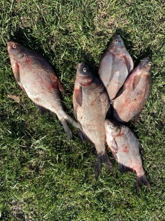 База отдыха Рыбная слобода