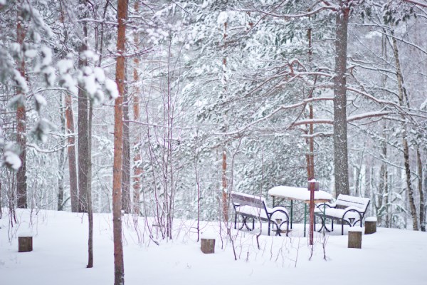 территория