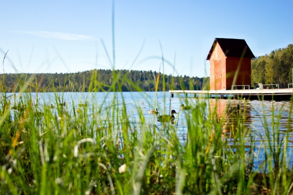 территория