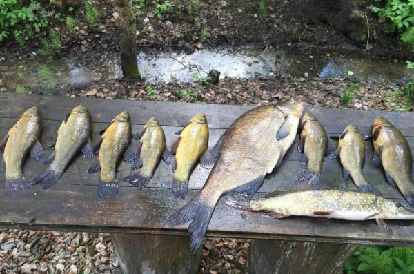 Рыбачий берег