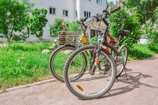 Парк отель Хвойный