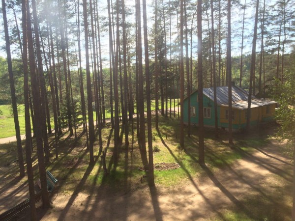 территория