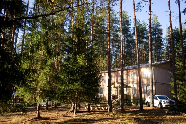 территория