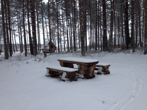 территория