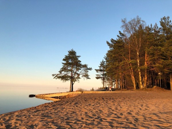 территория