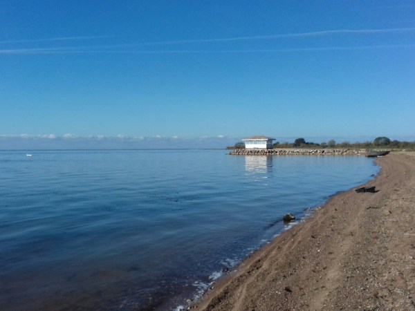 территория