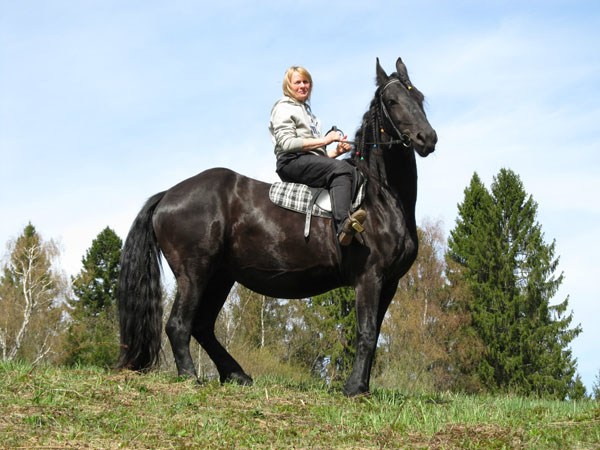 конные прогулки