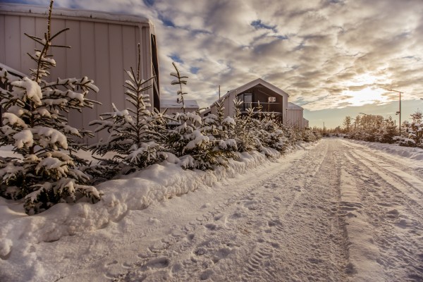 территория