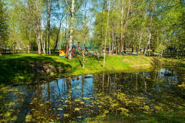 территория