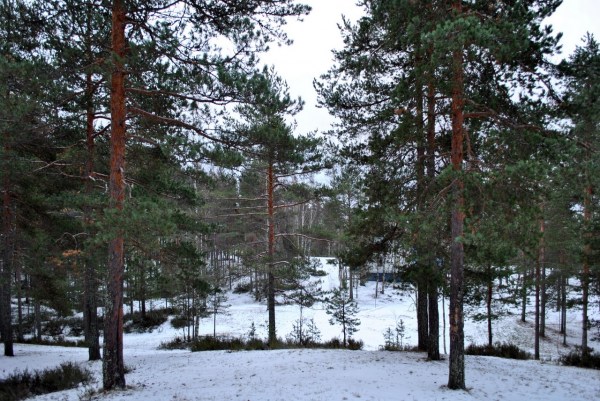 База отдыха Орехово