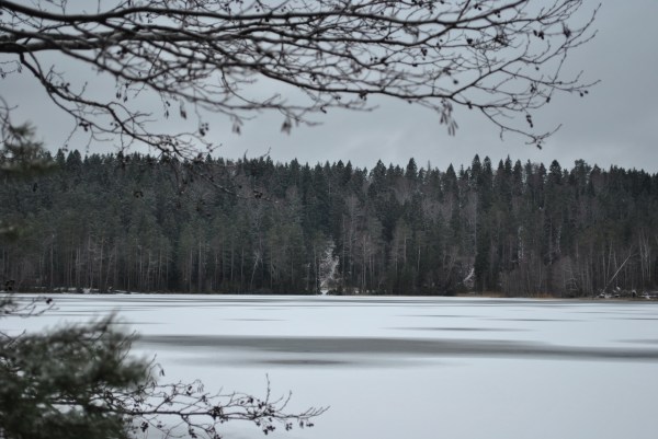 База отдыха Орехово