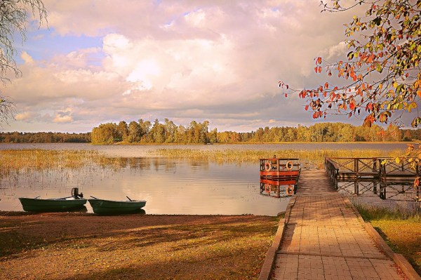 территория