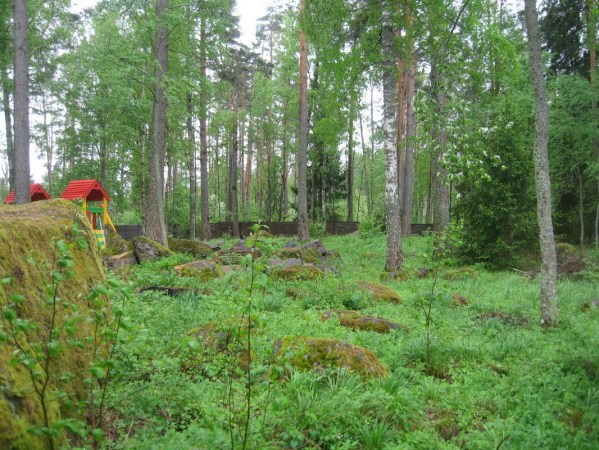 территория