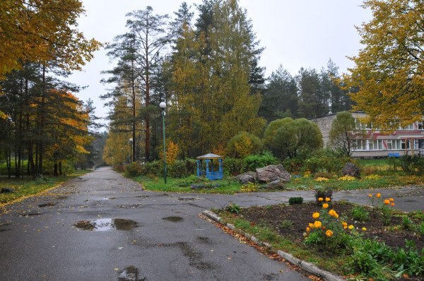 территория