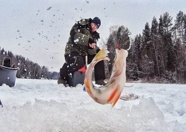 Зимняя рыбалка
