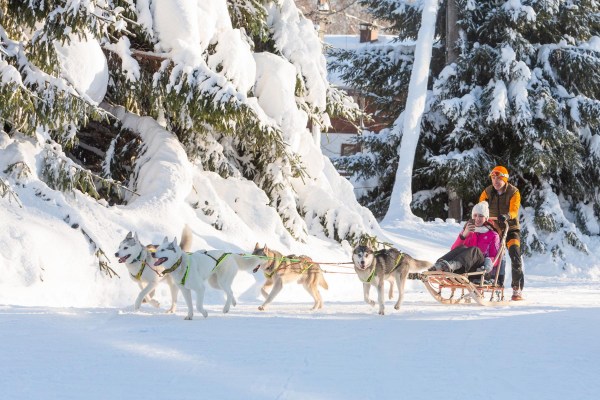 Катание на Хаски