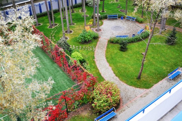 территория