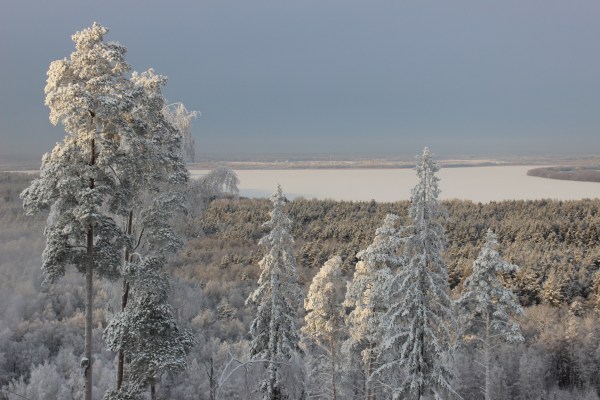 территория