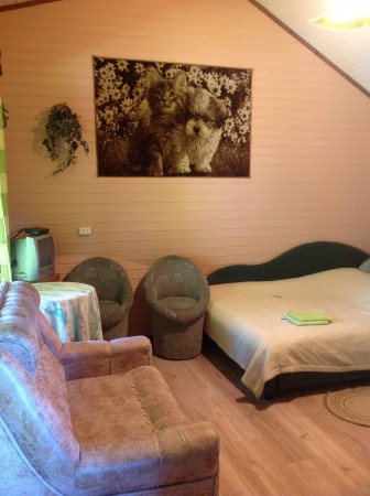 дом "Изба на берегу"