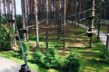 веревочный парк