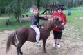катание на лошадях и пони
