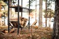Тайполовский залив как добраться. Смотреть фото Тайполовский залив как добраться. Смотреть картинку Тайполовский залив как добраться. Картинка про Тайполовский залив как добраться. Фото Тайполовский залив как добраться
