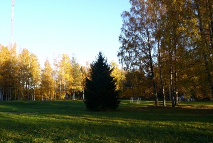 Детский лагерь Город Мастеров в Лосево, осенний заезд