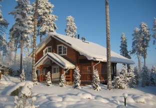 Отдых с детьми зимой в Ленинградской области на базах отдыха