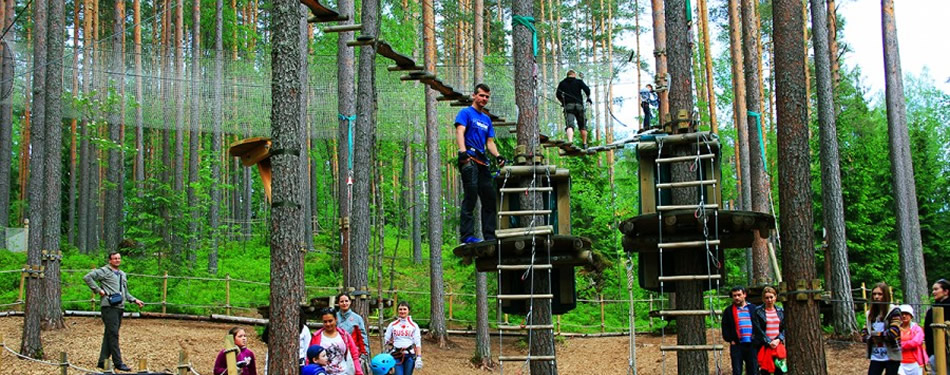 Веревочные парки на базах отдыха в Ленобласти